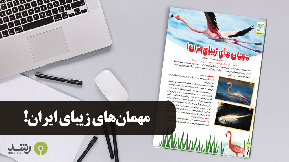 بیشتر بدانیم - مهمان‌ های زیبای ایران