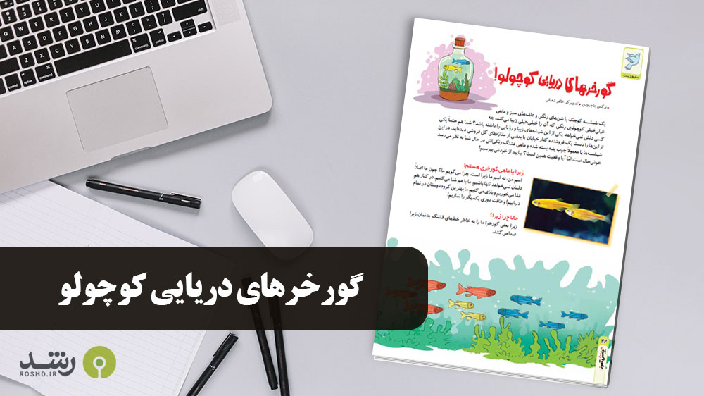 بیشتر بدانیم - گورخرهای دریایی کوچولو