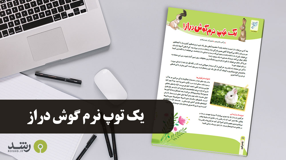 بیشتر بدانیم - یک توپ نرم گوش دراز