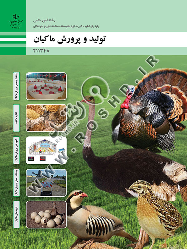 تولید و پرورش ماکیان